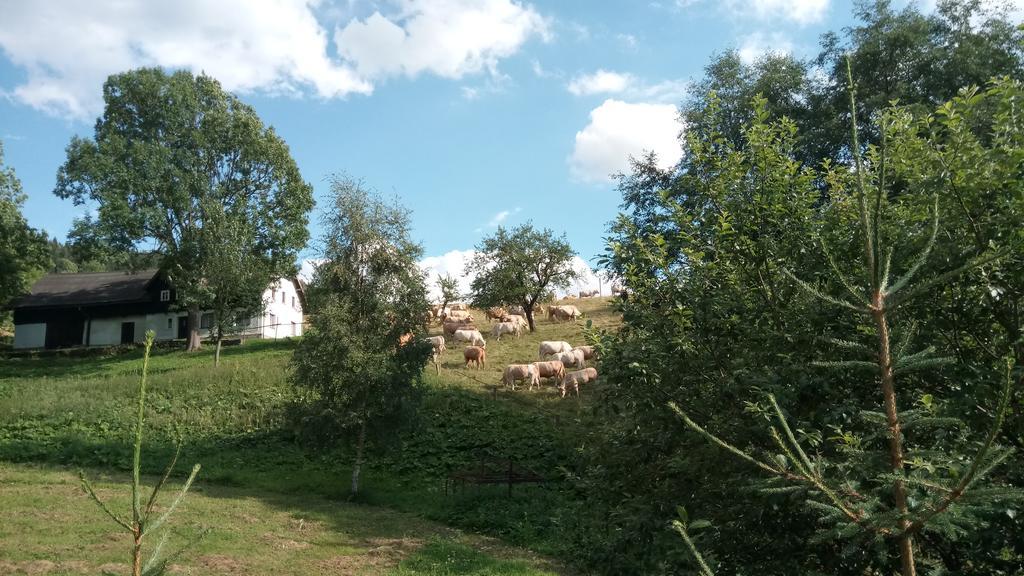 Penzion Liberta Horni Marsov Luaran gambar